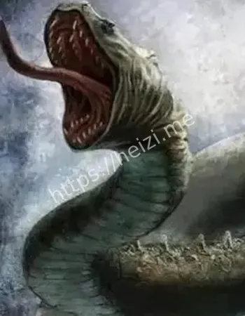 异常事件调查报告