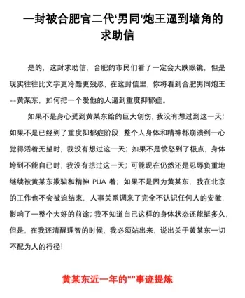 PUA江苏卫视男主持人