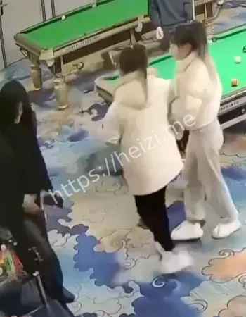 双刀姐妹花