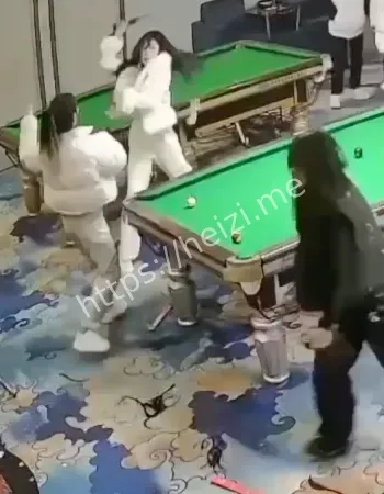 旧案新扒
