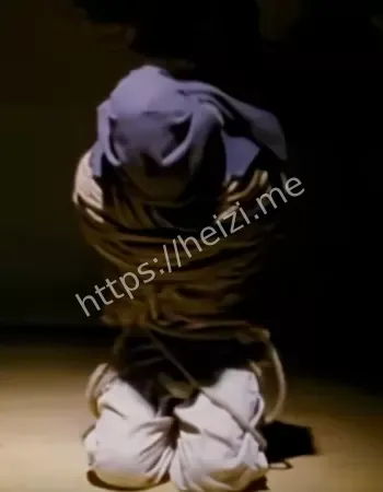 旅游博主海外安全危机