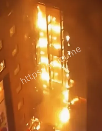 现场惨烈画面疯传