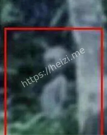 黄延秋外星事件