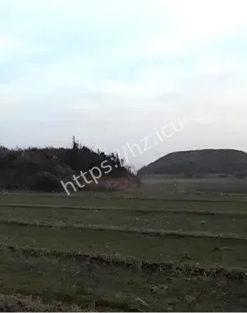 陕西泾阳汉墓事件