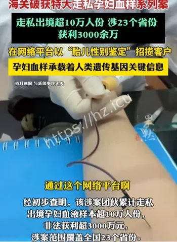 胎儿性别鉴定黑链