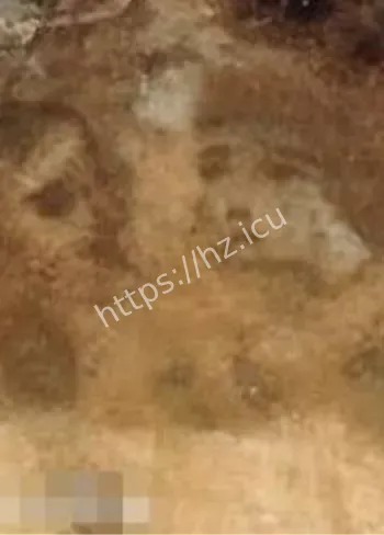 西班牙贝尔梅斯