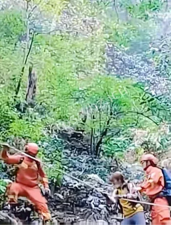 登山男子离奇死亡