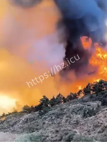 汕头山火浓烟滚滚视频