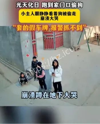 河北偷狗事件