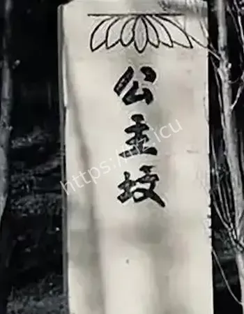 北京公主坟闹鬼事件