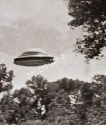 巴西瓦尔吉尼亚