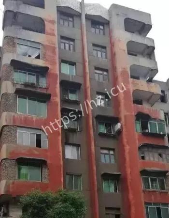 真相曝光