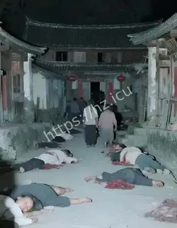 专家揭秘