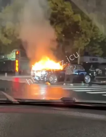 也没能救回爱车