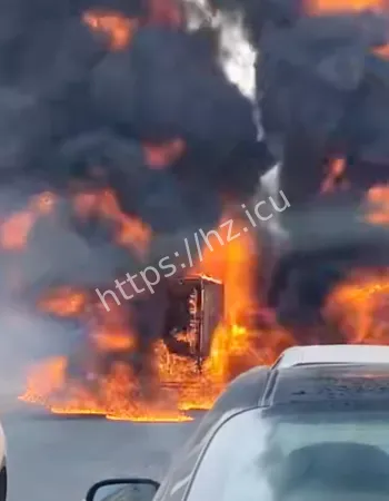 旁边SUV本该倒车逃走