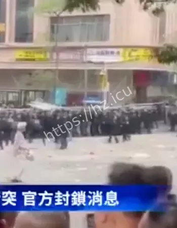 广东信宜