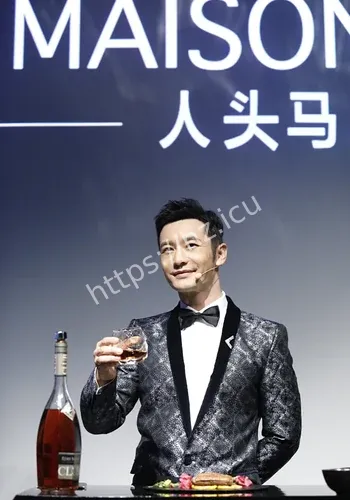 黄晓明现实影响