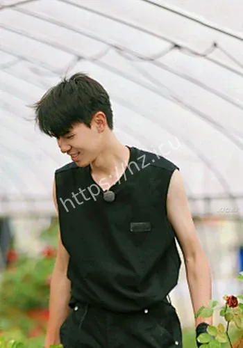 官宣公开回应细节