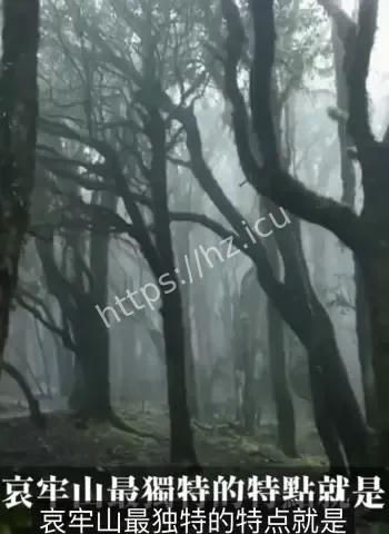 哀牢山上古神秘种族