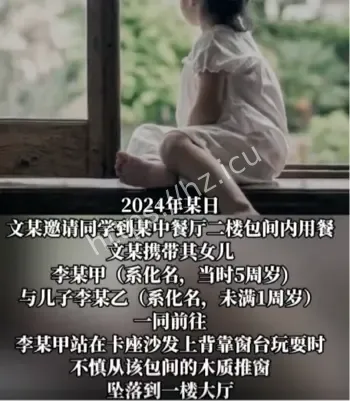 四川富顺女童二楼包间坠亡案