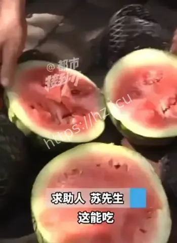11吨西瓜全烂光