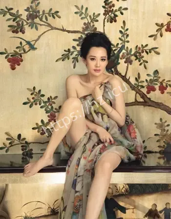 许晴气质顶级导演最爱