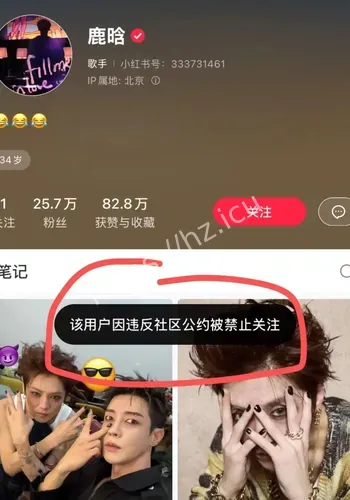 传播反馈观察