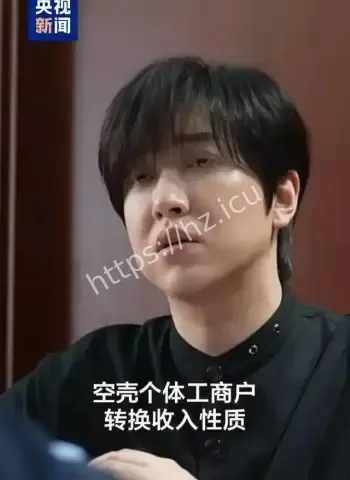 聊天记录音频流出