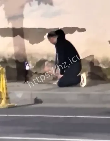视频全网刷屏
