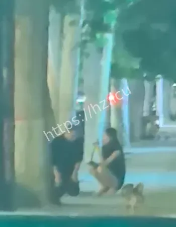 女主播街头鞭打事件