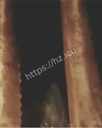 婴儿遗骸引发灵异现象