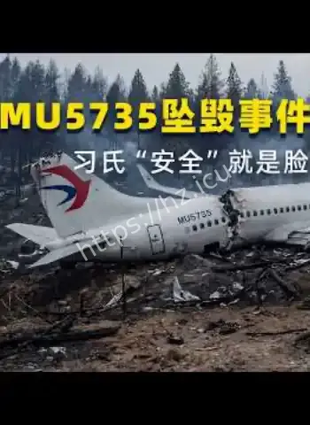 黑匣子数据曝光
