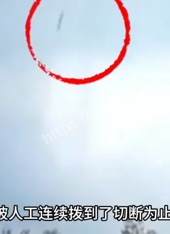黑匣子数据曝光