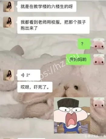 职校女生厕所生双胞胎