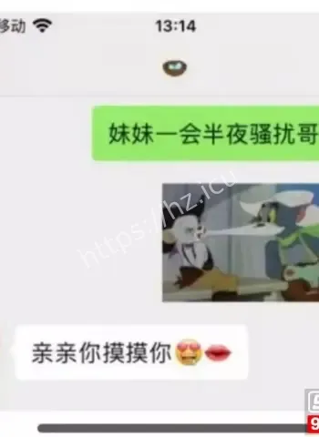杨念群