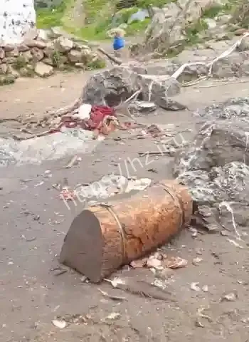 红眼秃鹫狂袭