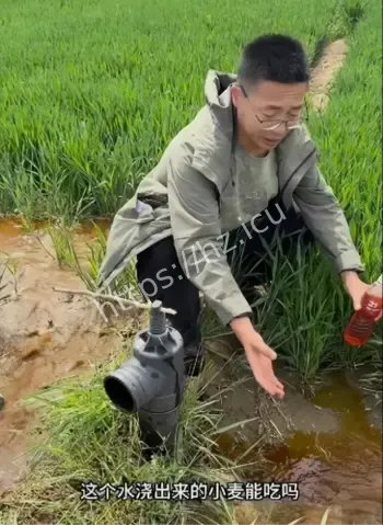 村内鱼虾离奇死亡