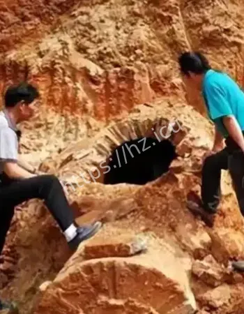 全村老人小孩
