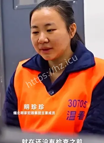 明珍珍