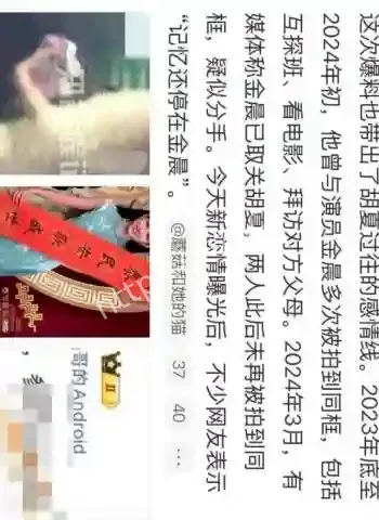 著名女星金晨前男友