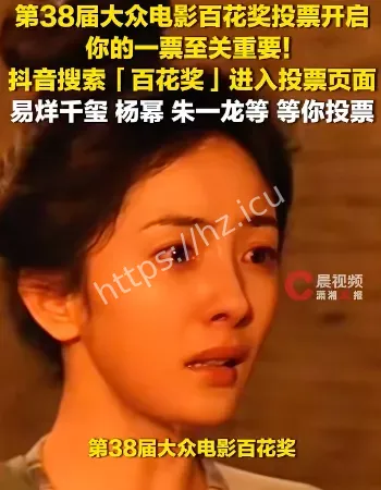 百花奖初评投票