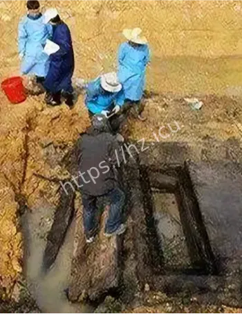 出土呻吟科学解释
