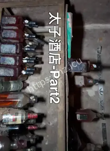 富豪竞拍艳舞女郎