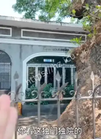 最大活死人墓曝光