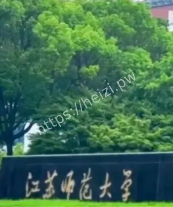 江苏师大副教授高考移民