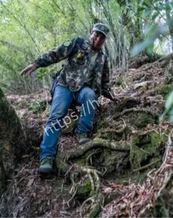 进山围观惊扰野生动物