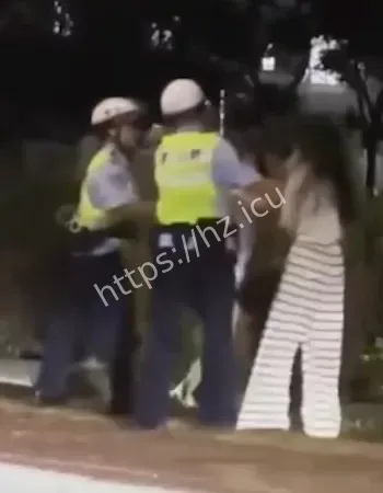 抓头发撕衣服