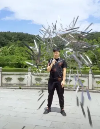 传说中的剑仙