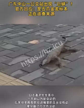 广州公交站
